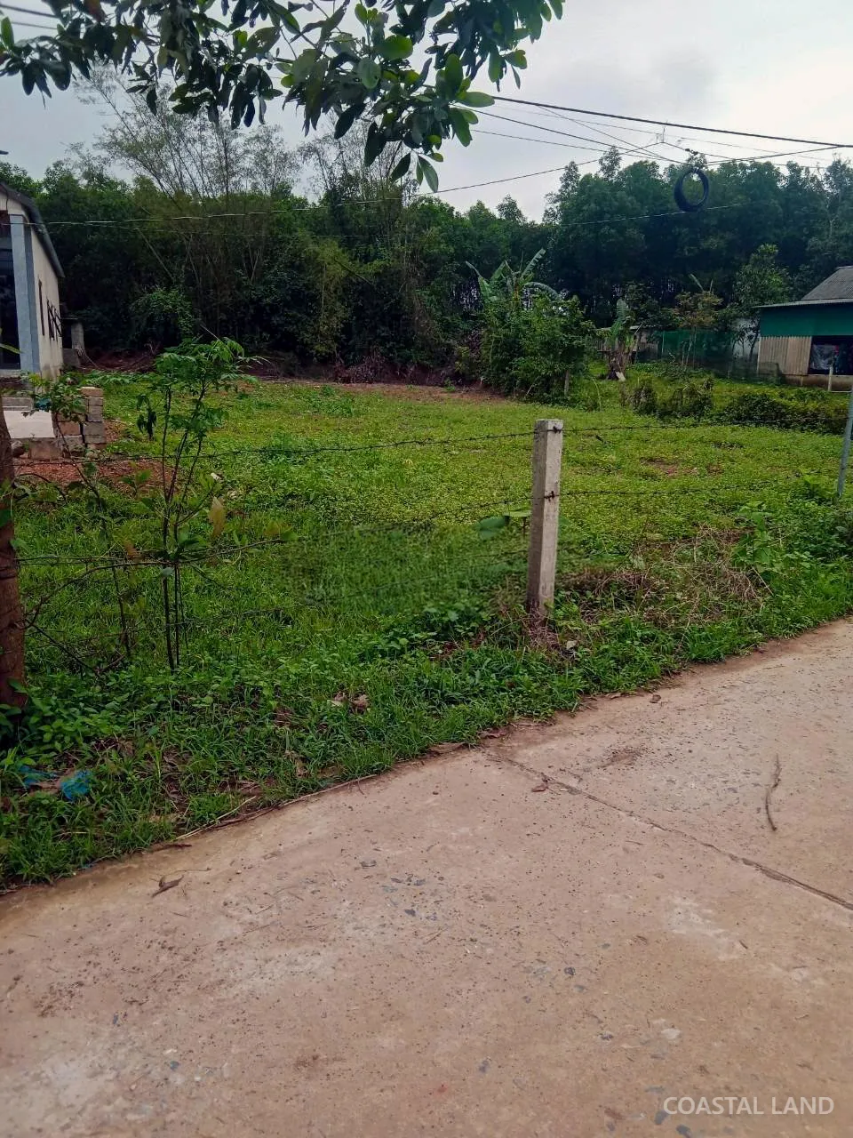 Bán đất 220m2 thôn Phú Hưng gần La Vang, Xã Hải Lăng, Quảng Trị 3