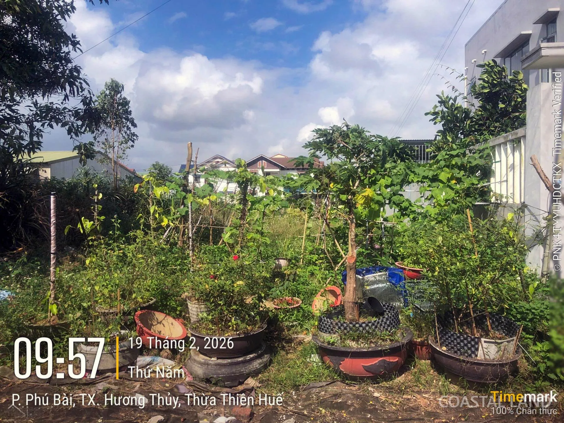 Bán đất 200m2 thổ cư Nguyễn Khoa Văn, Phường Phú Bài, Huế 3