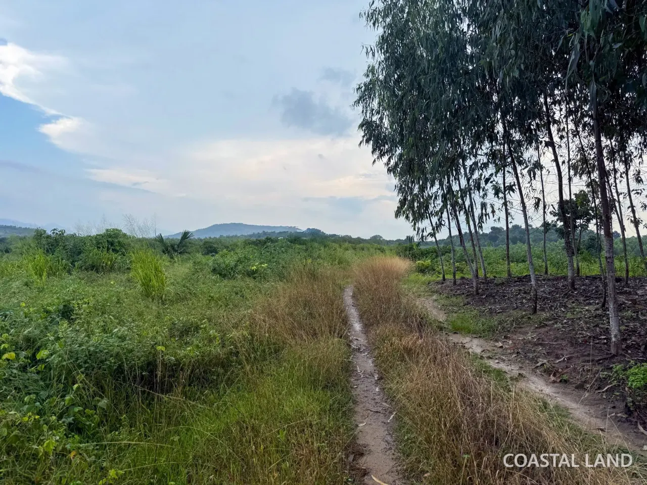 Bán gần 9. 000m2 đất giáp suối gần KCN Tân Đức, Xã Tân Minh, Lâm Đồng